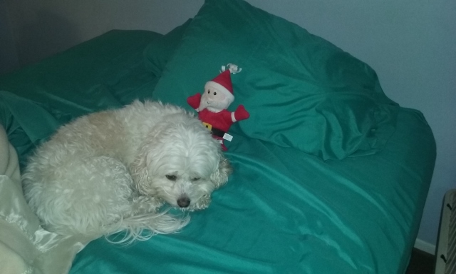 20170126_223630-640x384